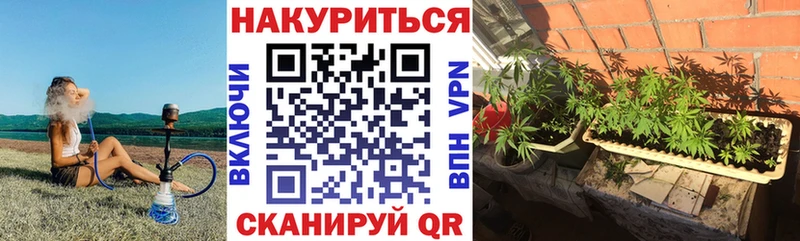 купить наркоту  Кропоткин  Шишки марихуана тримм 